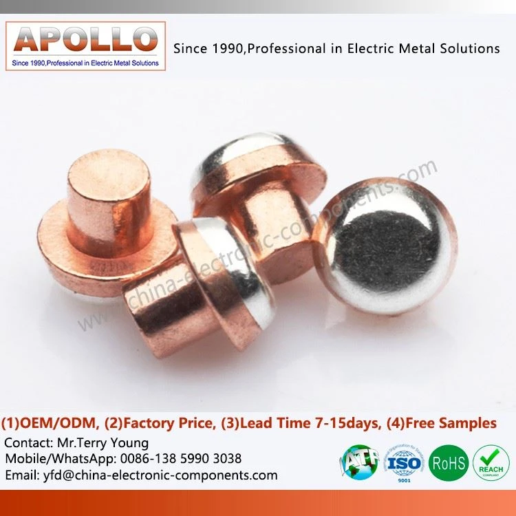 Bimetal Relay Contact Point